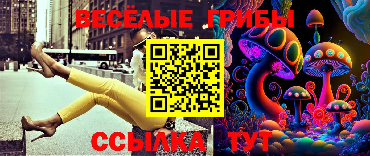 Воскресенск  Галлюциногенные грибы прущие грибы  Вход с VPN 